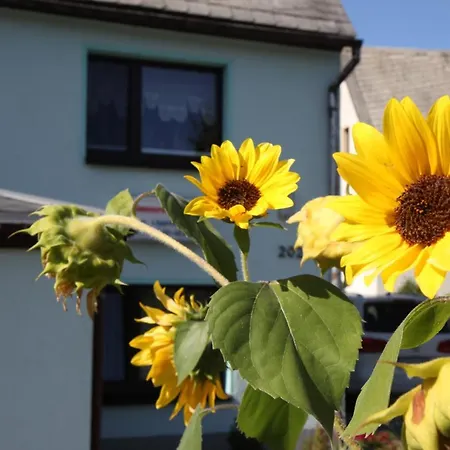 Lippmann Grosshartmannsdorf